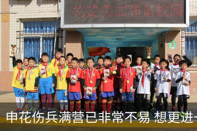 申花伤兵满营已非常不易 想更进一步需提升硬实力